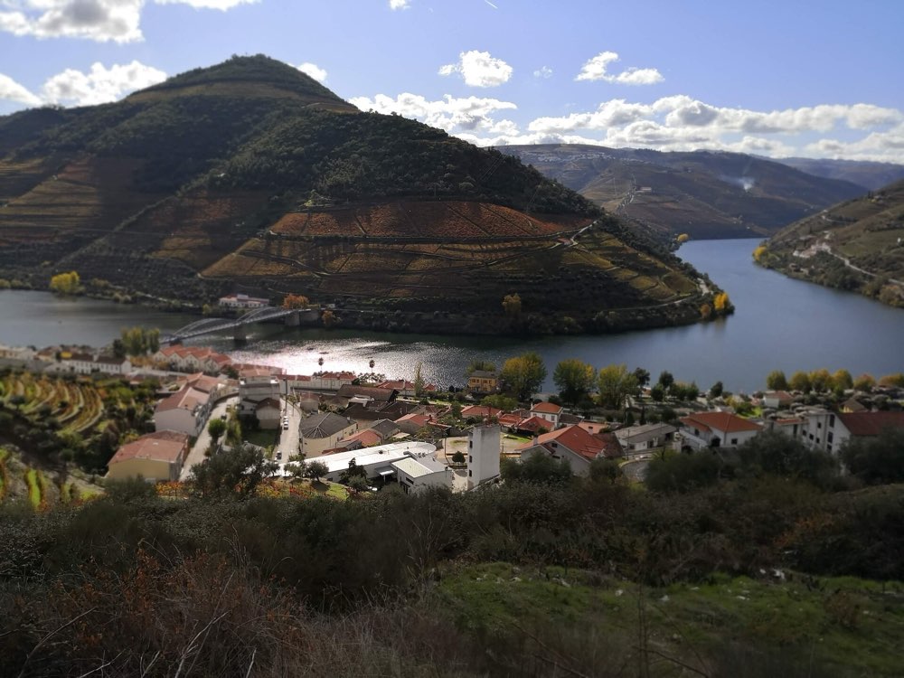 Terraced vineyards above a bend of the Douro river and the village of Pinhão in Portugal